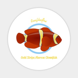 Gold Stripe Maroon Clownfish Magnet